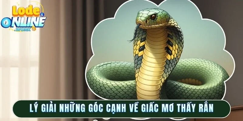 Lý giải những góc cạnh về giấc mơ thấy rắn