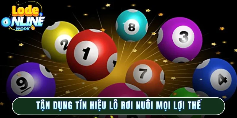 Tận dụng tín hiệu lô rơi nuôi mọi lợi thế